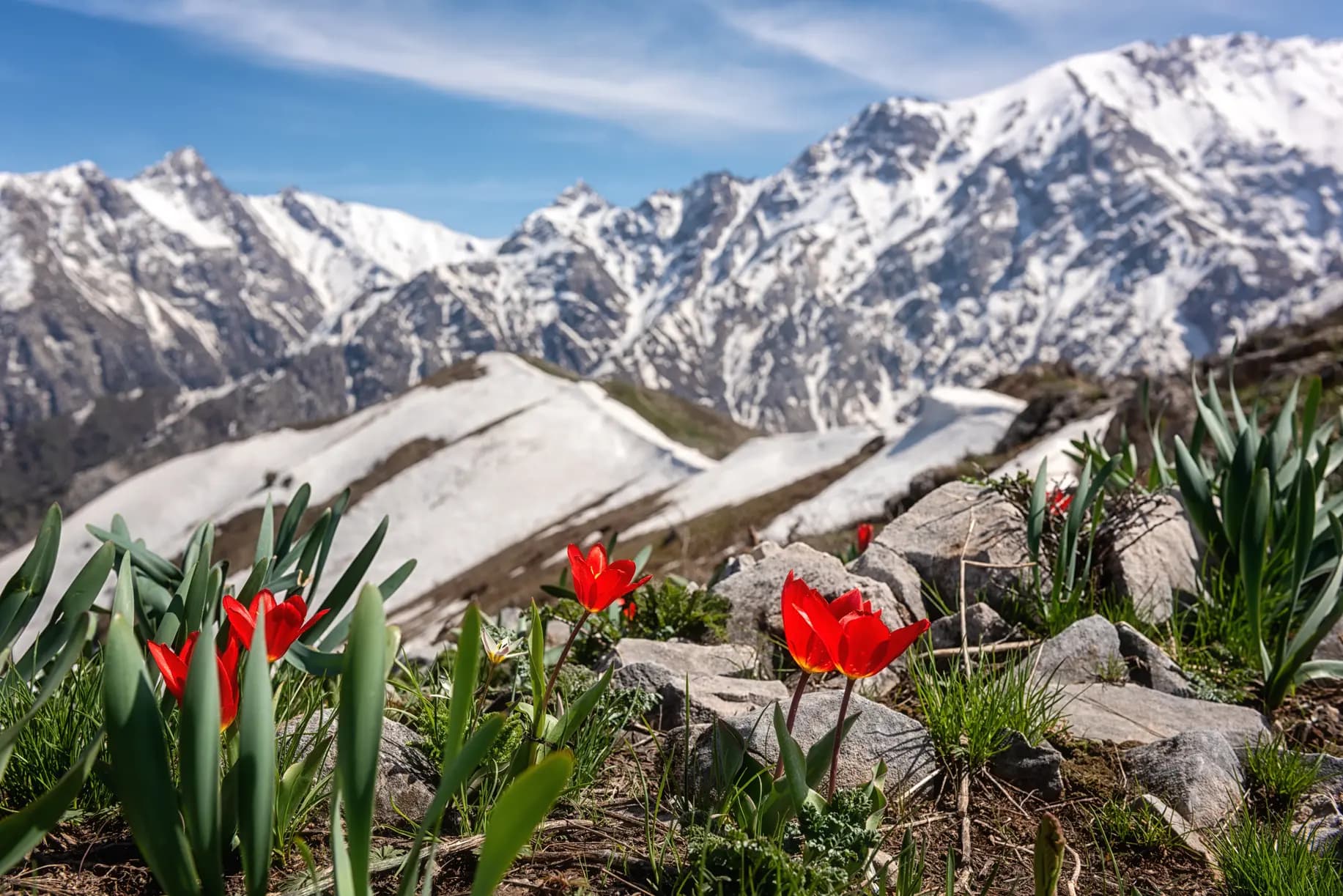 Mountain Travel